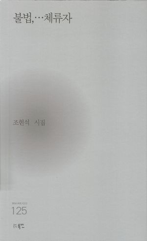 [국내도서] 불법,…체류자