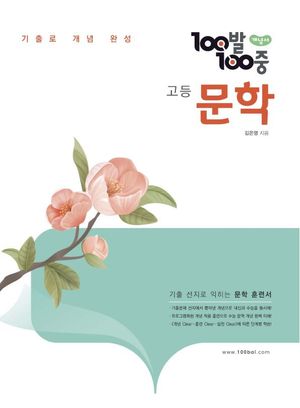 100발 100중 고등 문학 개념서 (2025년)