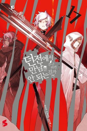 던전에서 만남을 추구하면 안 되는 걸까 17