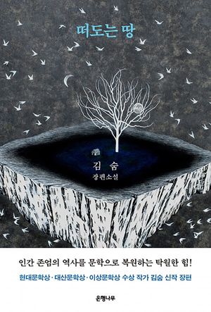 떠도는 땅(큰글자도서)