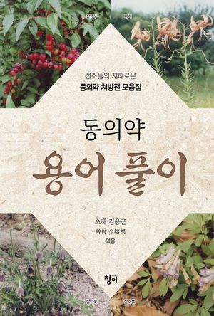 [국내도서] 동의약 용어 풀이