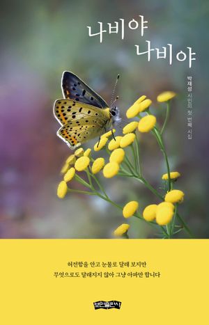 [국내도서] 나비야 나비야