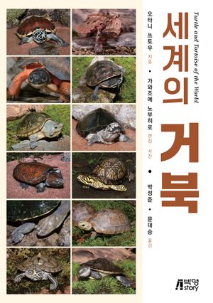 세계의 거북