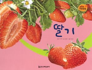 [국내도서] 열매와 채소 42: 딸기