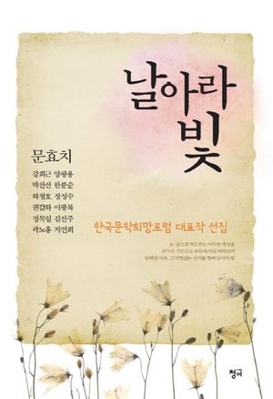[국내도서] 날아라 빛