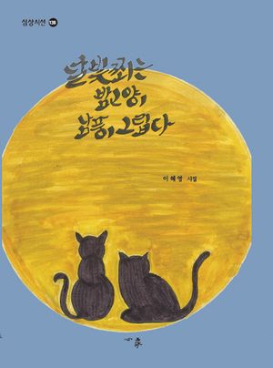 [국내도서] 달빛 쬐는 밤고양이 남풍이 그립다