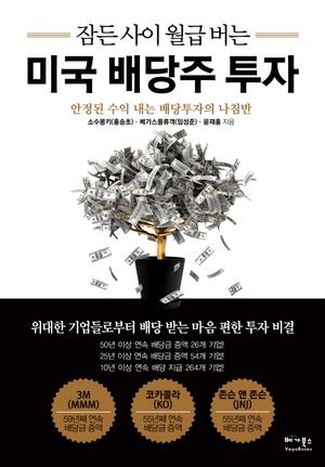 [국내도서] 잠든 사이 월급 버는 미국 배당주 투자