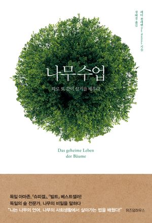 나무수업