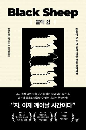 [국내도서] 블랙 쉽