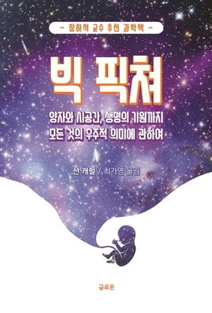 빅 픽쳐