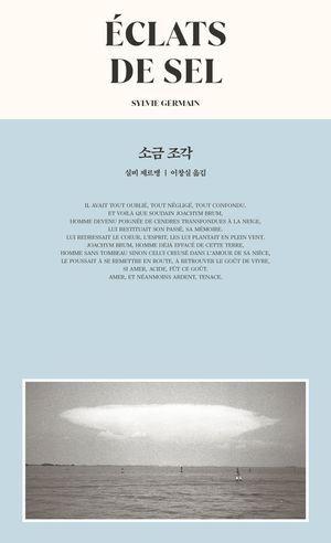[국내도서] 소금 조각