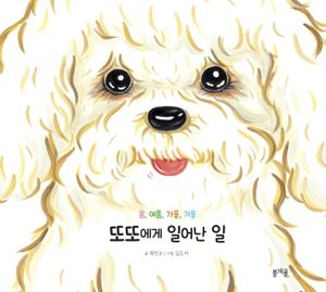 또또에게 일어난 일