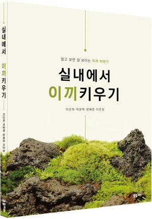 실내에서 이끼키우기