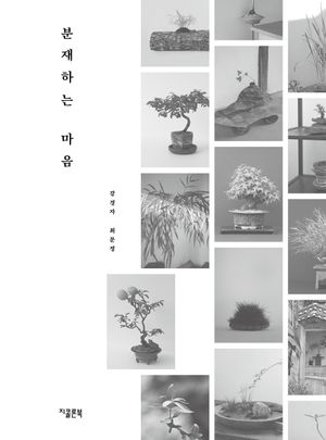분재하는 마음