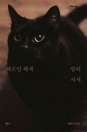 밤의 사색(큰글자도서)