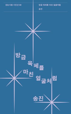 [국내도서] 방금 육체를 마친 얼굴처럼