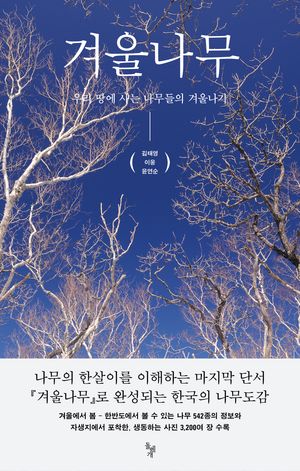 겨울나무