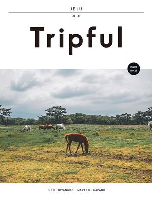 Tripful 트립풀 제주