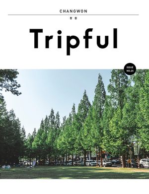 Tripful 트립풀 창원