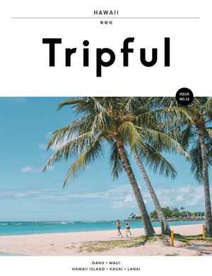 Tripful 트립풀 하와이