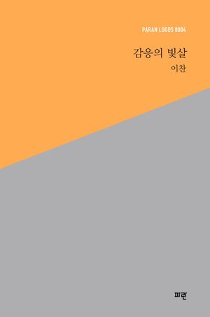 [국내도서] 감응의 빛살