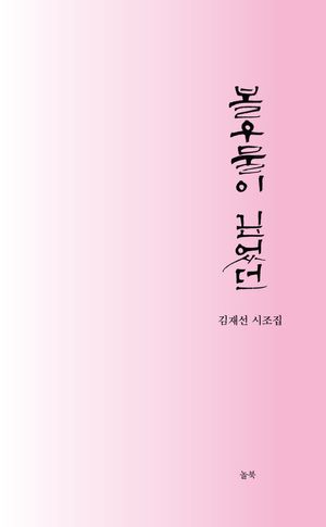 [국내도서] 볼우물이 깊었던