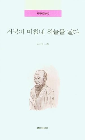 [국내도서] 거북이 마침내 하늘을 날다