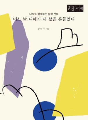 어느 날 니체가 내 삶을 흔들었다(큰글자책)