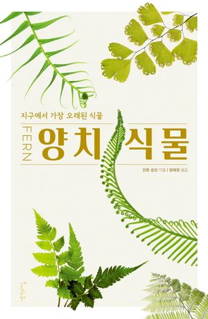 양치 식물