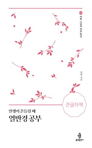 인생이 흔들릴때 열반경 공부(큰글자책)
