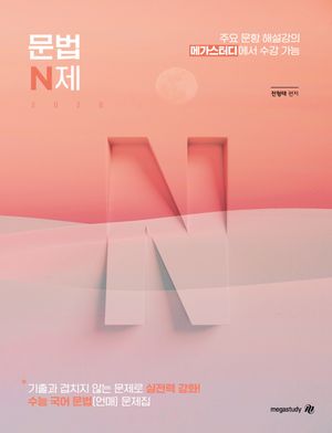 문법 N제 (2025년)
