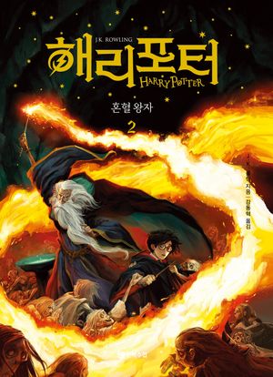 해리 포터와 혼혈 왕자 2 (무선)