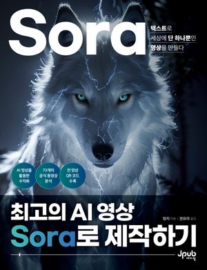 [국내도서] 최고의 AI 영상 Sora로 제작하기