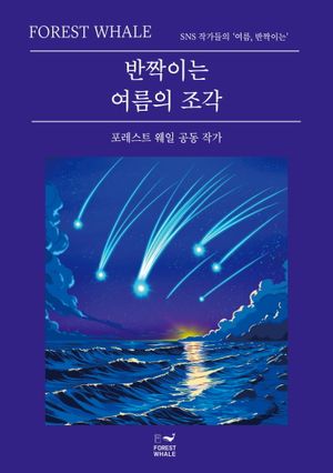 반짝이는 여름의 조각