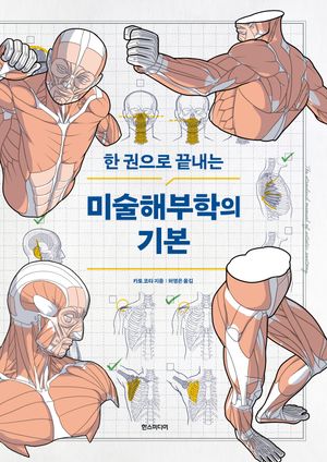 미술해부학의 기본