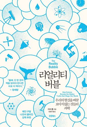 리얼리티 버블