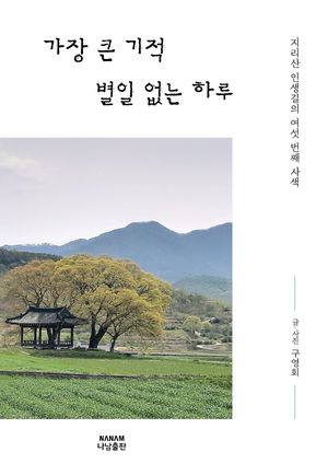 [국내도서] 가장 큰 기적 별일 없는 하루