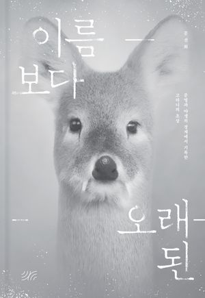 이름보다 오래된