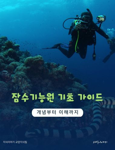 잠수기능원 기초 가이드: 개념부터 이해까지 | 지식이야기 - 교보ebook