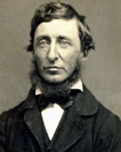 작가의 대표 도서: 헨리 데이비드 소로