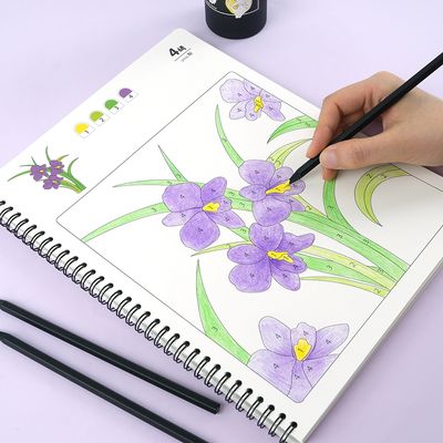 시니어 컬러링북 어르신 색칠공부 성인 치매 예방