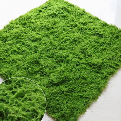 플랜테리어 인조 이끼 2P B-3(100cm*100cm)