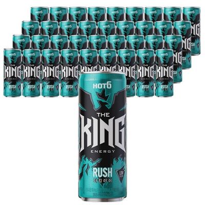 핫식스 더킹 러쉬 355ml 24캔 x 2박스