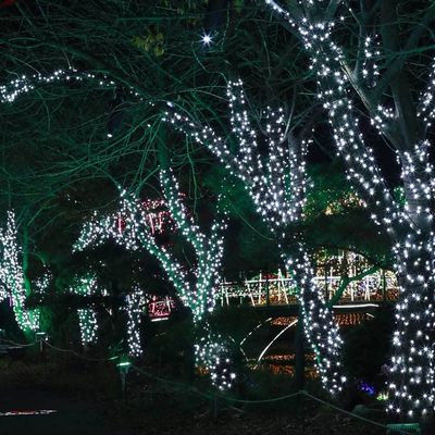 줄 전구 트리 조명 LED 커튼 벽 홈파티(WFIKYPN)