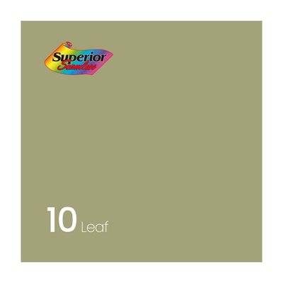 촬영 스튜디오 배경지 2.7 x 11m (10 Leaf)(WFFXBYR)