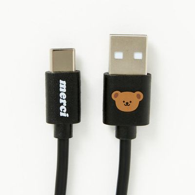 아트박스 C타입 2M 블랙 곰