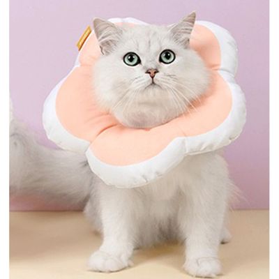 고양이 키티요요 플라워 넥카라 핑크 M 1P 수술 보호(WFLSORO)