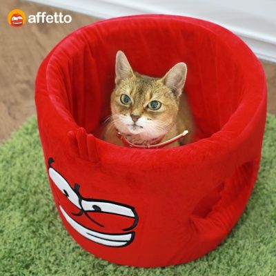 아페토 라바 하우스 L (레드 )