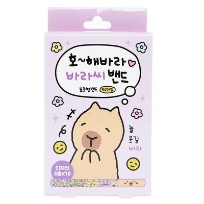 아트박스 표준형밴드 바라씨(50매)