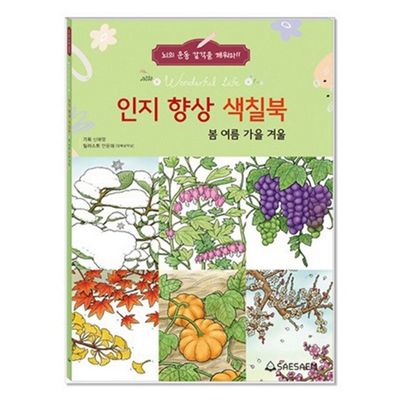 새샘 인지향상 색칠북 봄여름가을겨울